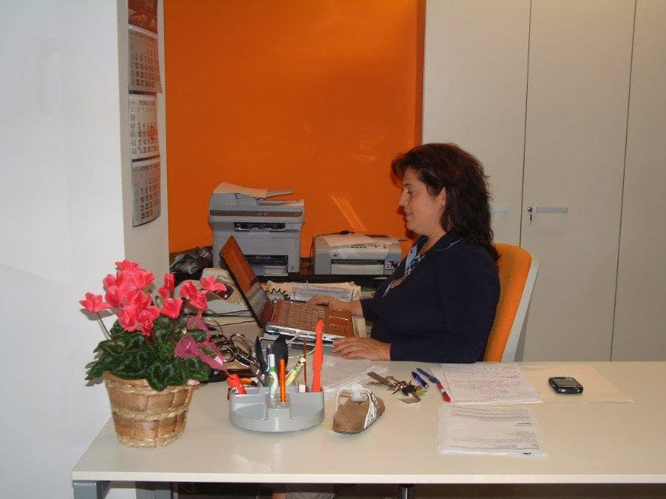Silva snc - Working in office